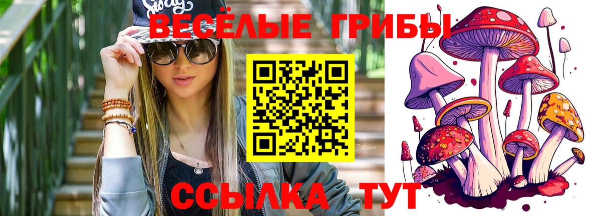 Галлюциногенные грибы MAGIC MUSHROOMS Белая Калитва