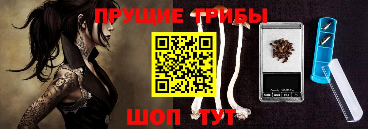 Белая Калитва  Галлюциногенные грибы Psilocybine cubensis  Вход с VPN 