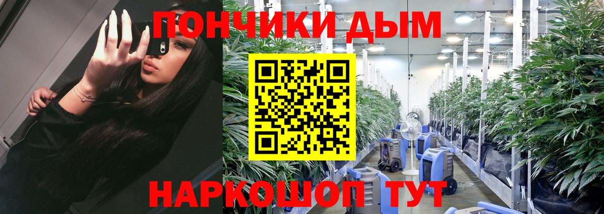 Шишки марихуана индика  Каннабис планчик  Каннабис план  Белая Калитва  Вход с VPN  Каннабис гибрид 